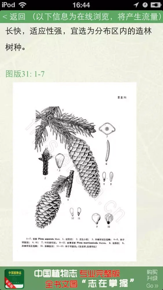 صور 《中国植物志》Lite网络版